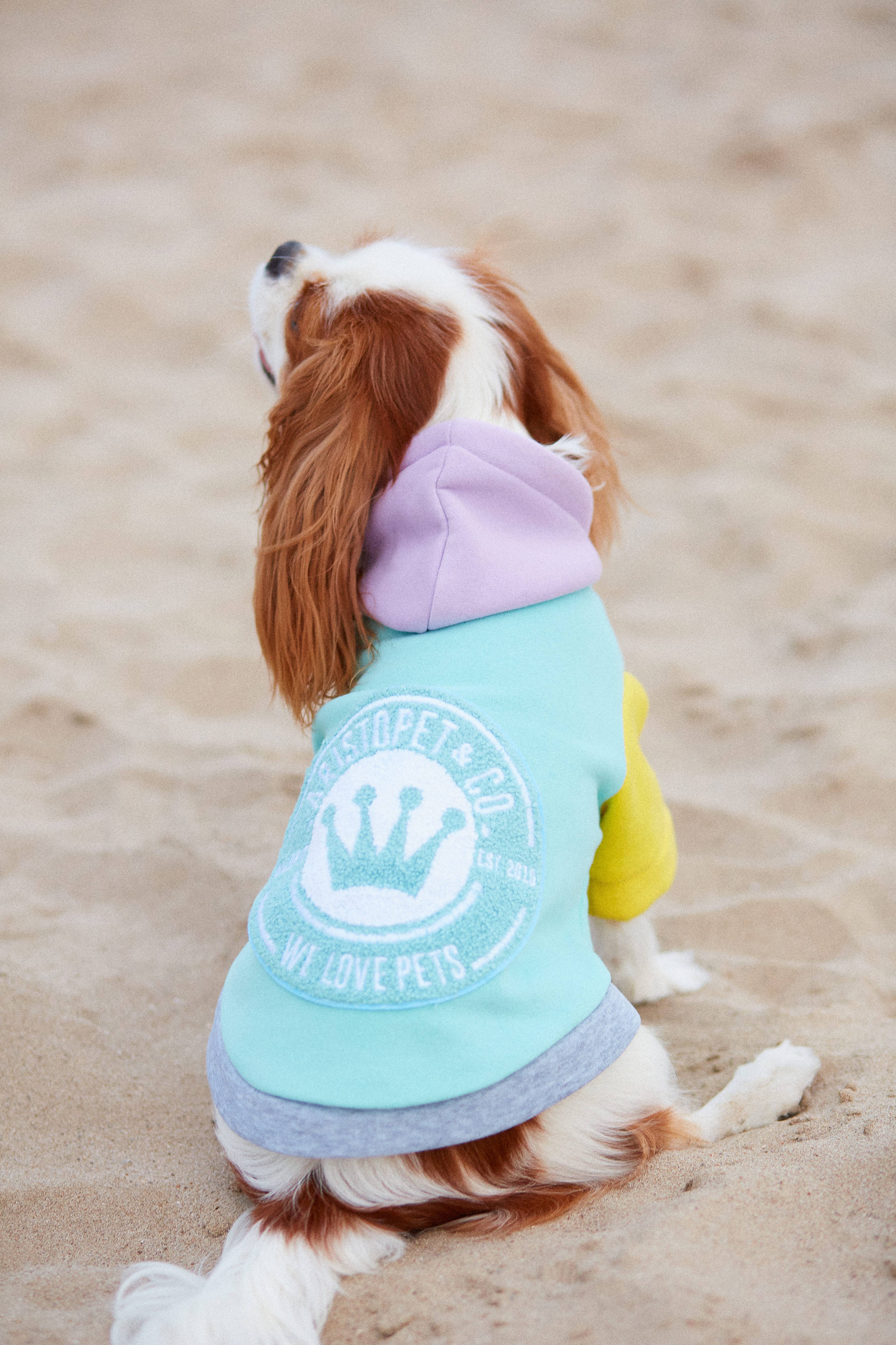 ARISTOPET - Wholesale Pet Hoodie - Dog - AUGUSTO AQUA HOODIE SWEATSHIRT20