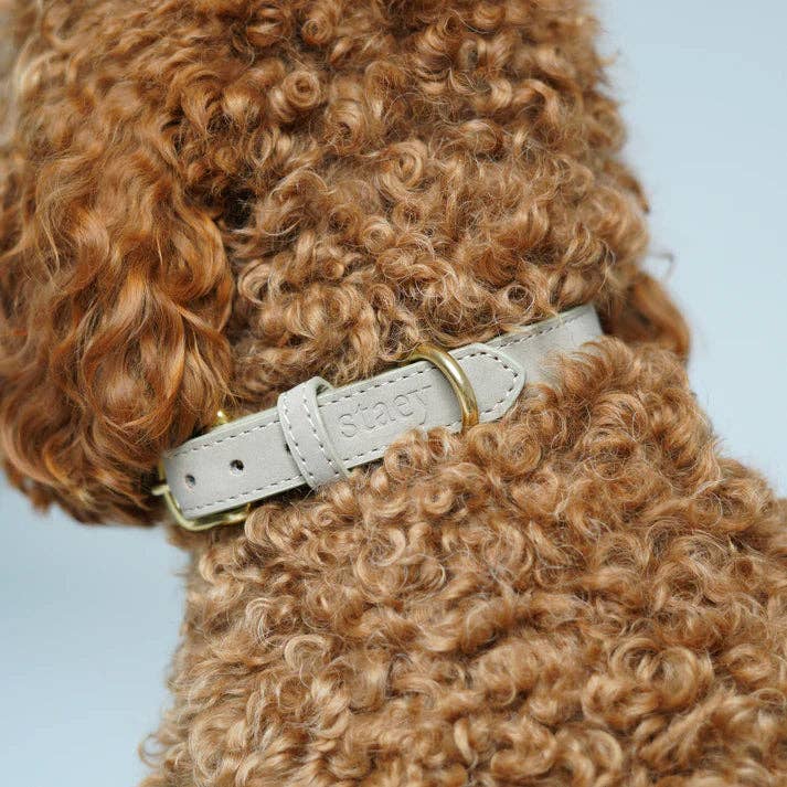 Staey - Wholesale Pet Collar - Dog - Grace Leather Dog Collar | Nature1