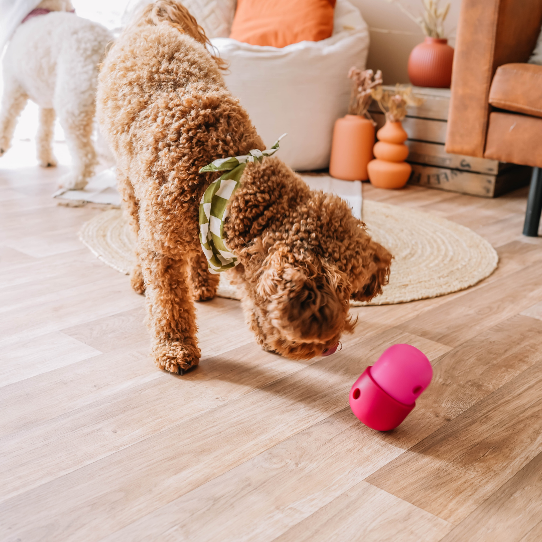 Babelle For Dogs - Wholesale Speeltje - Hond - De Fun Feeder - Snackdispenser - Lik speeltje10