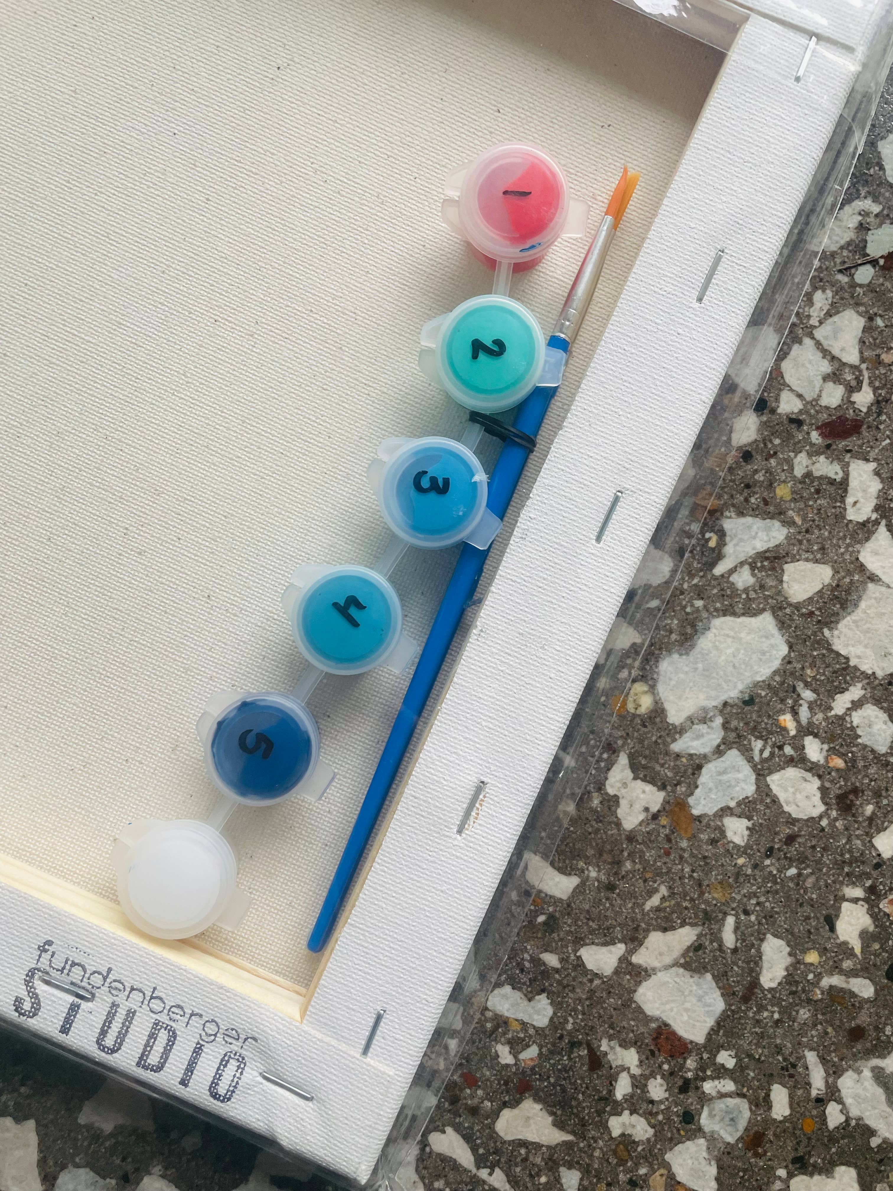 Fundenberger Studio – Kit de artesanato DIY por atacado – Kit de pintura por números de sardinhas2