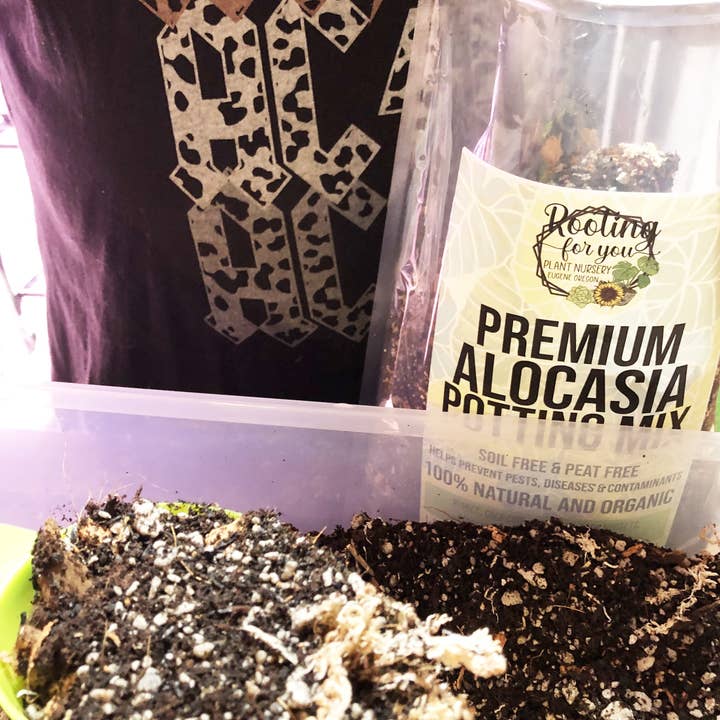 Rooting For You Plant Nursery - Wholesale Planting/Potting Soil - Alocasia Colocasia Caladium Premium Potting Mix3