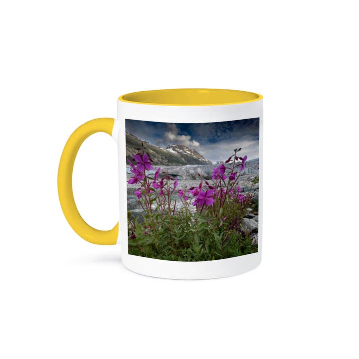3dRose – wholesale Coffee mug – 3dRose, Beach beauty flowers near terminus of Reid Glacier, Glacier Bay., Mug