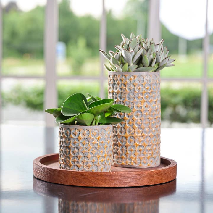 Ivyline – Großhandel Blumentopf innen – Terni Blumentopf aus Keramik, hochwertig, für den Innenbereich, 18 cm x 20 cm
