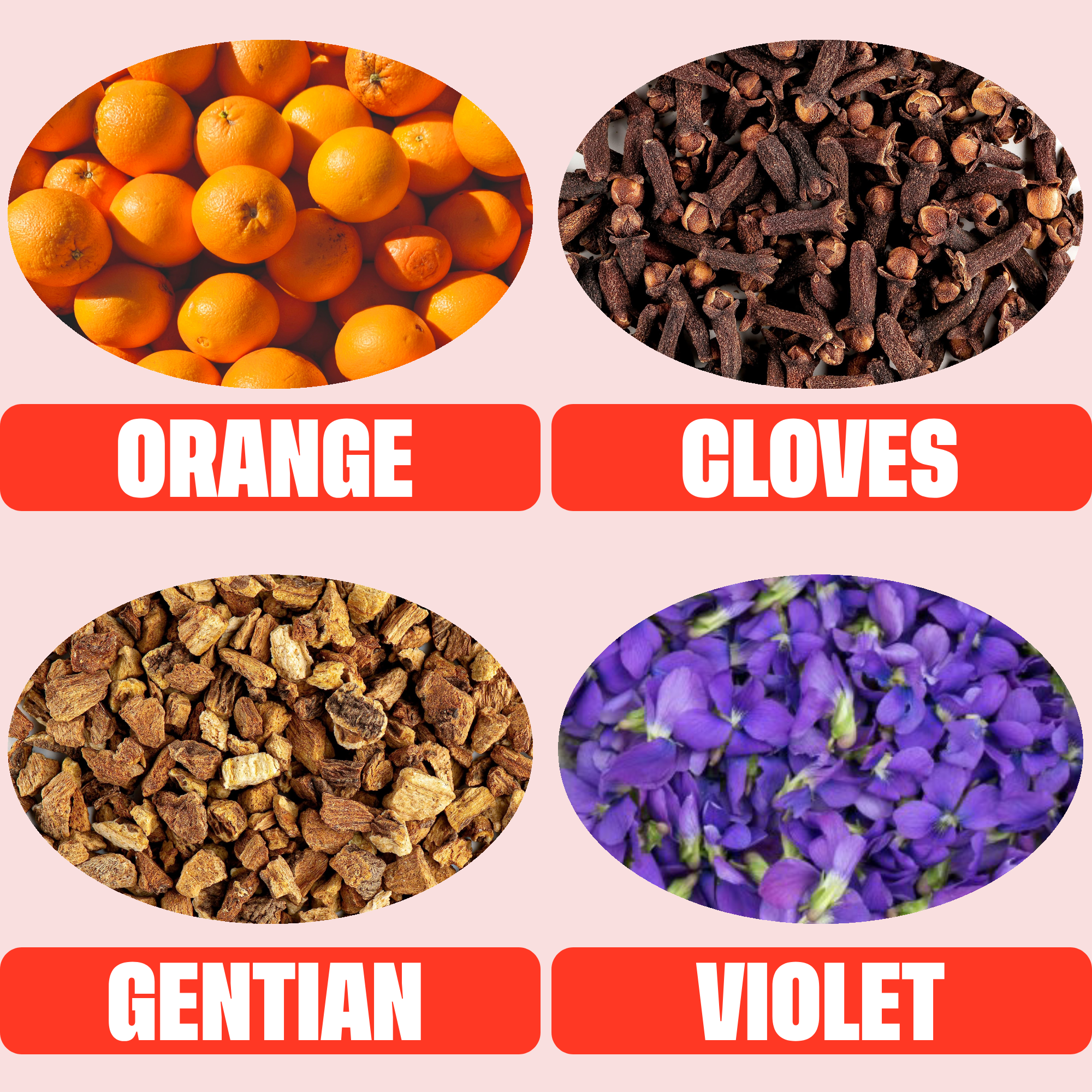 Aperitivo Club - Vente Mélange/sirop pour cocktails - Negroni Sbagliato | Cocktail Spritz italien prêt à boire | 6 % vol.3