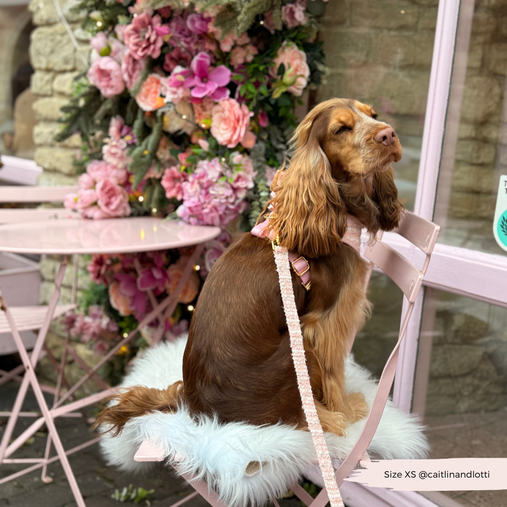 Cocopup London – wholesale Pet leash – Dog – Pink Textured Tweed Lead5