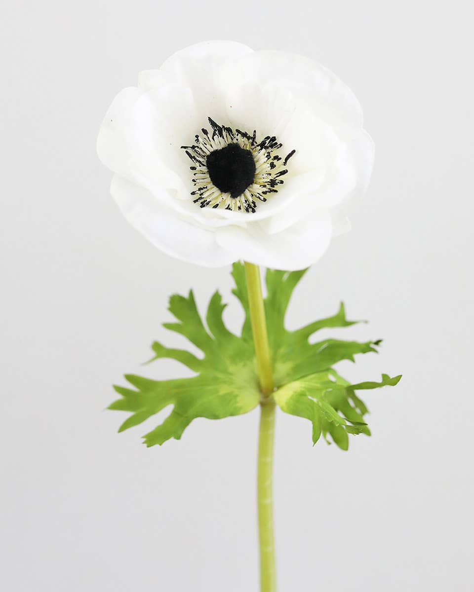 Prestige Botanicals - Wholesale Artificial Flowers - Real Touch White Anemone 17.5”2
