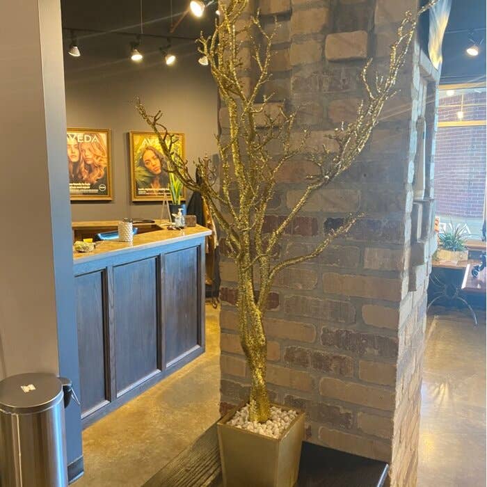 Galt International Company - Vendita all'ingrosso Piante artificiali - Albero di Manzanita in Vaso da 1,2 m con Sassi10