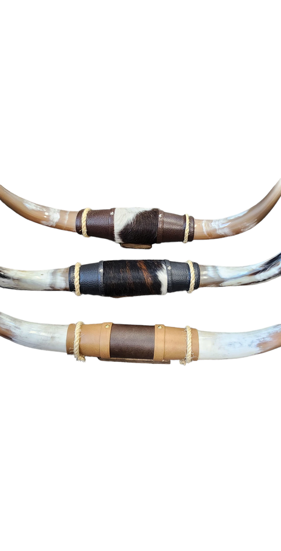 Luises Perez Imports LLC - Wholesale Wall Accent - Assorted Small horns4