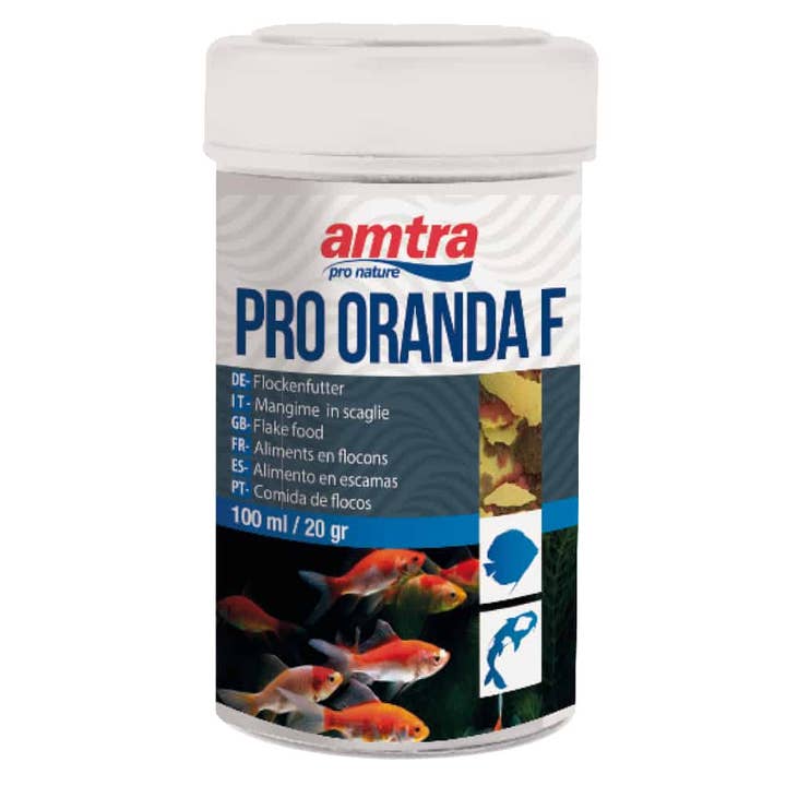 Peixes dourados - Pro Oranda Floco - Amtra por atacado de Croci