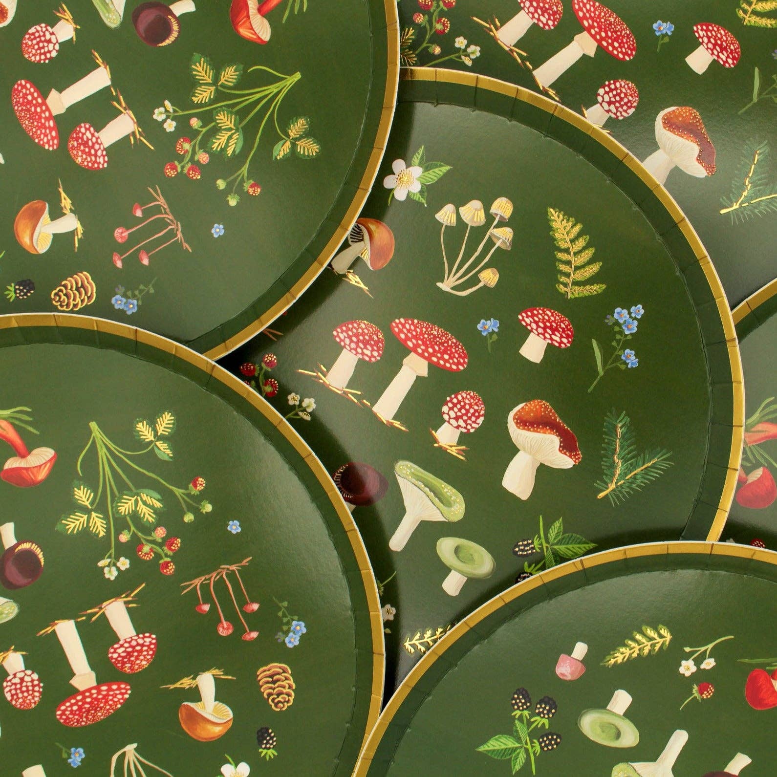 Hen Paper Co. – wholesale Disposable plate – Woodland Wonders Dinner Plate (Set of 10)3