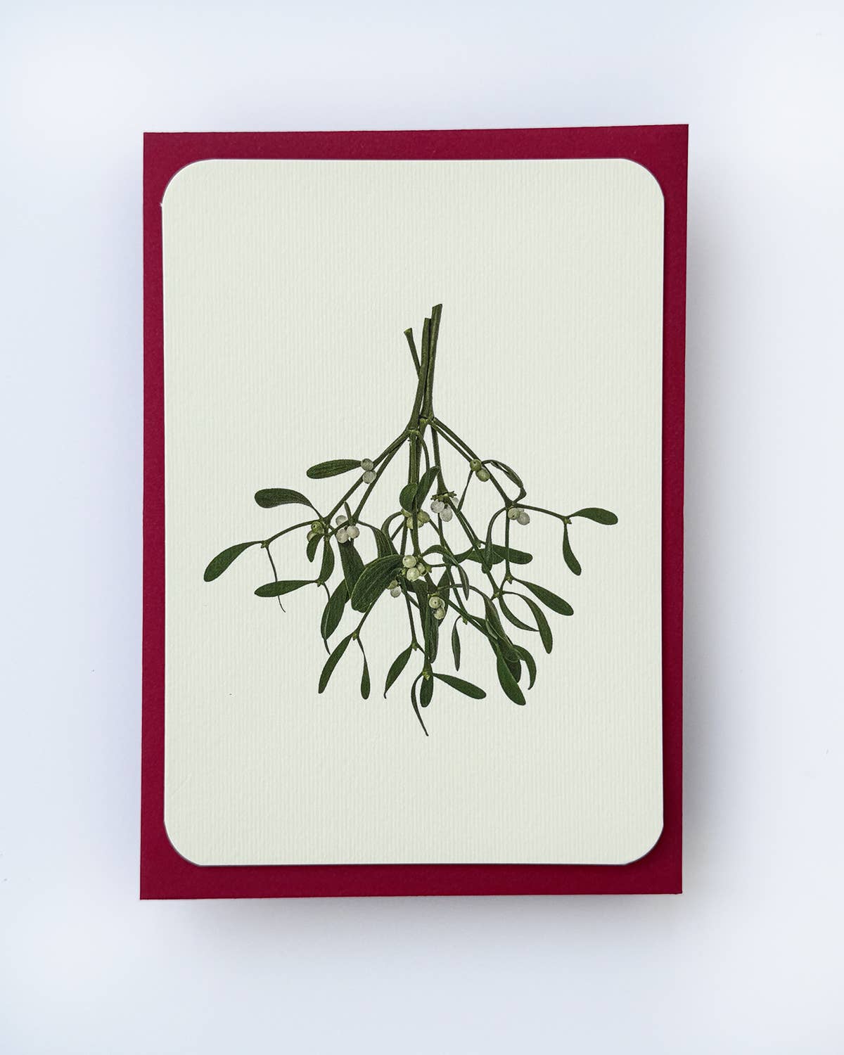 Canonbury Press – wholesale Season’s Greetings card – Mistletoe Christmas Greeting Card | Christmas Card1