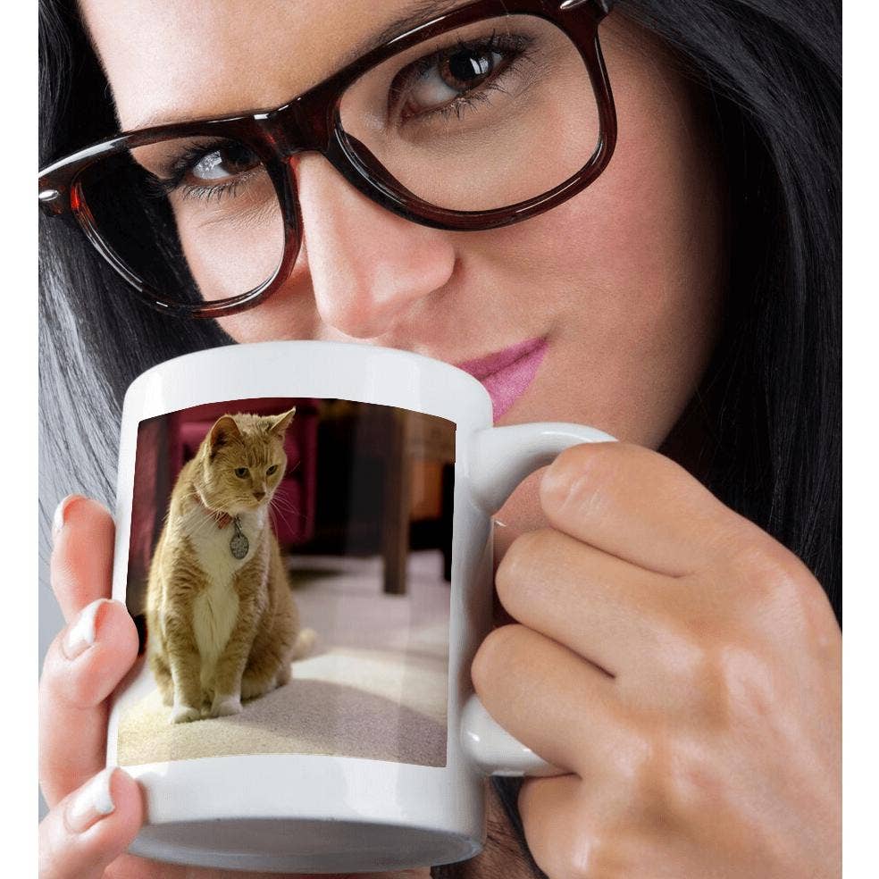 3dRose - Wholesale Coffee Mug - 3dRose, Orange tabby housecat in a living room - NA02 MFR0000 - MFR, Mug9