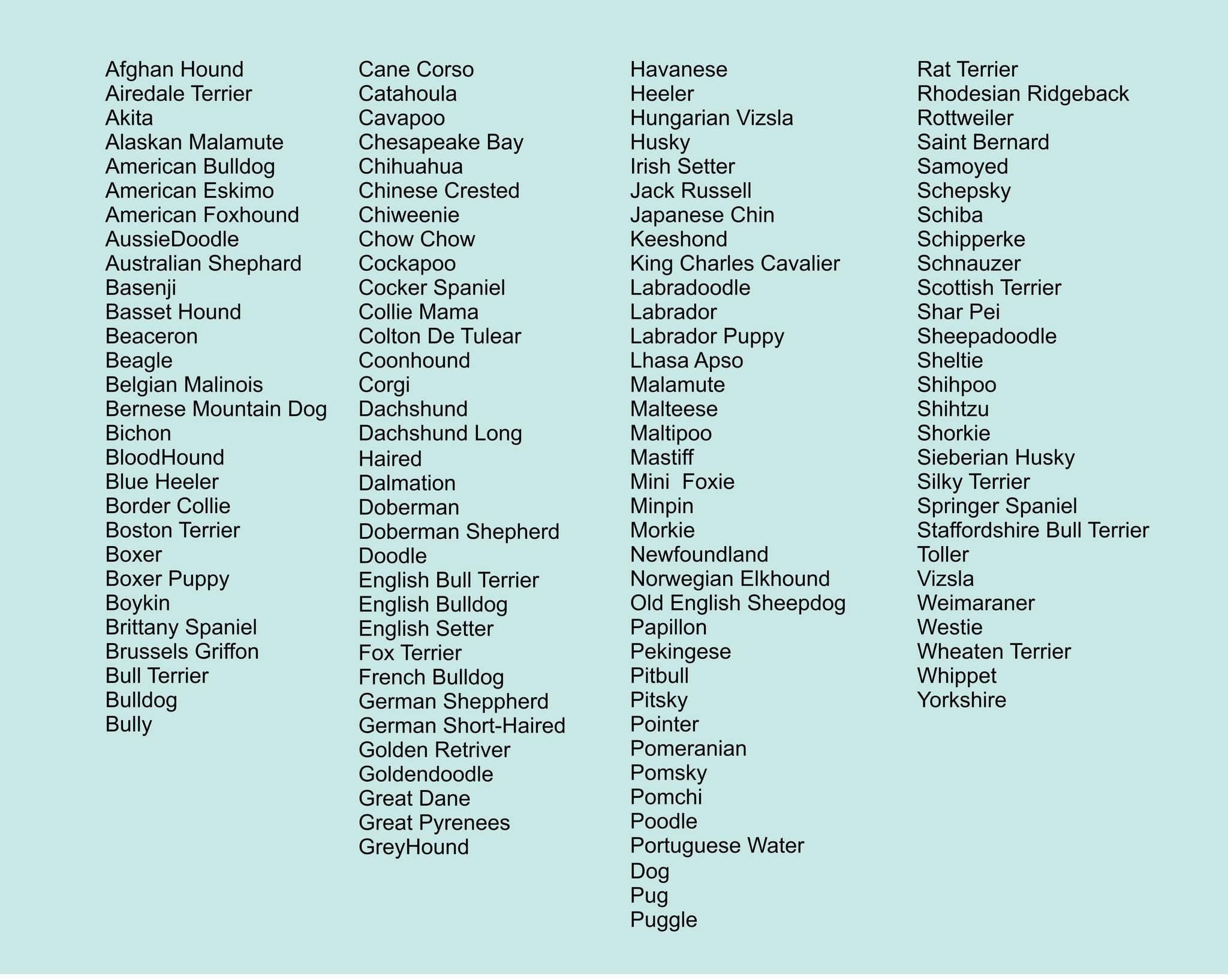 Hartley Co – Camisola gráfica - Mulher por atacado – Camisola Personalizada com Bordado de Orelhas de Cão | Roupa para Animais de Estimação3