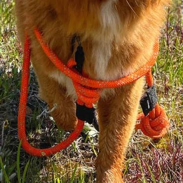 RMD Eco-Friendly Dog Rope Leash for wholesale by Rocky Mountain Dog