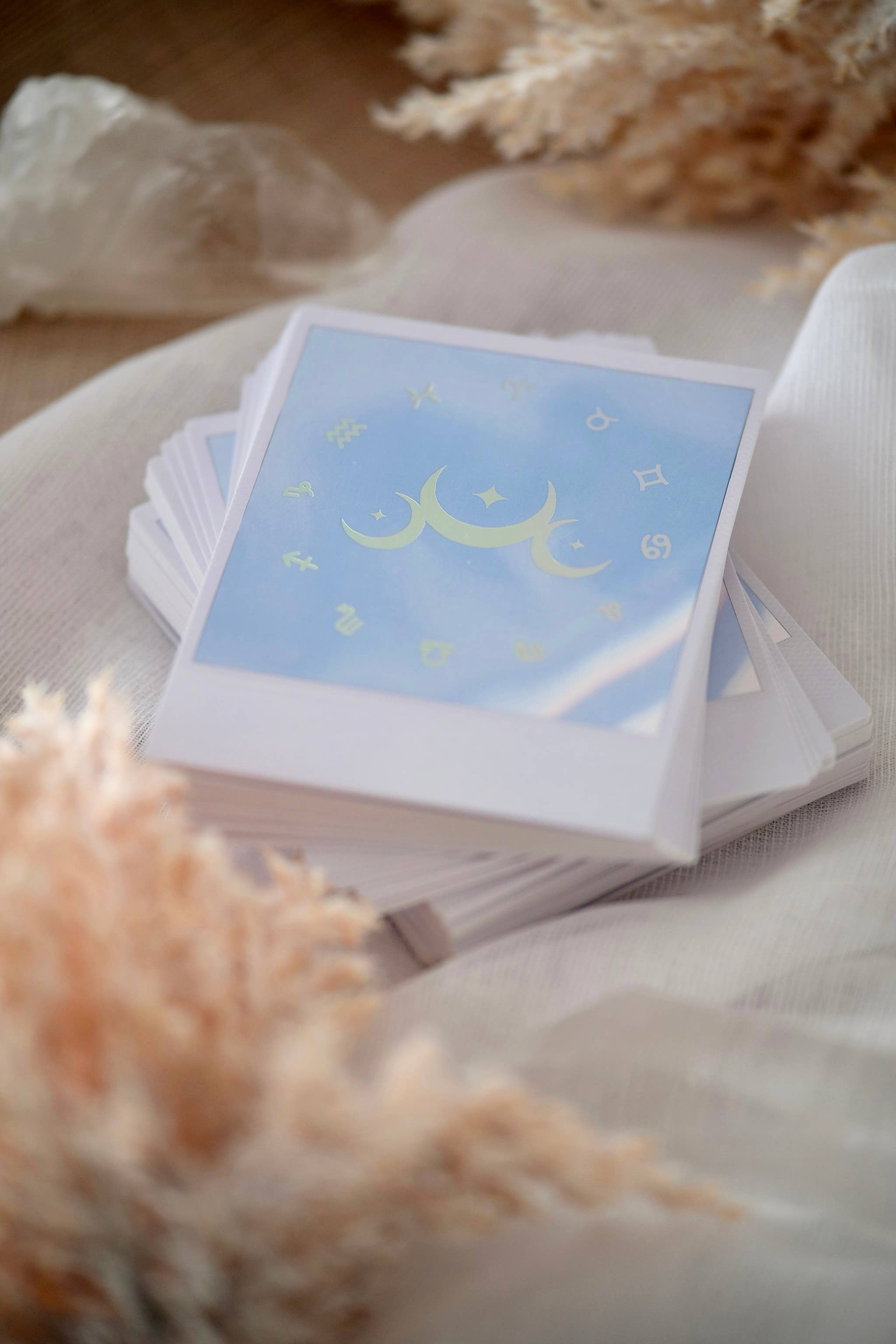 REMOVED BRAND - Wholesale Tarot Cards - Wild Lands Tarot12