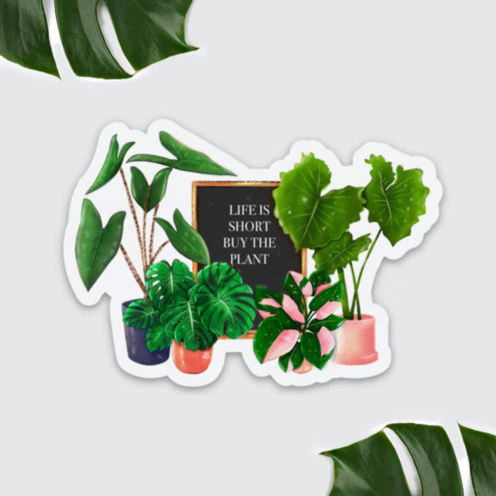 Magnet - Life is Short Buy the Plant, Plantmom, Plantlover for wholesale by plantyintroverts