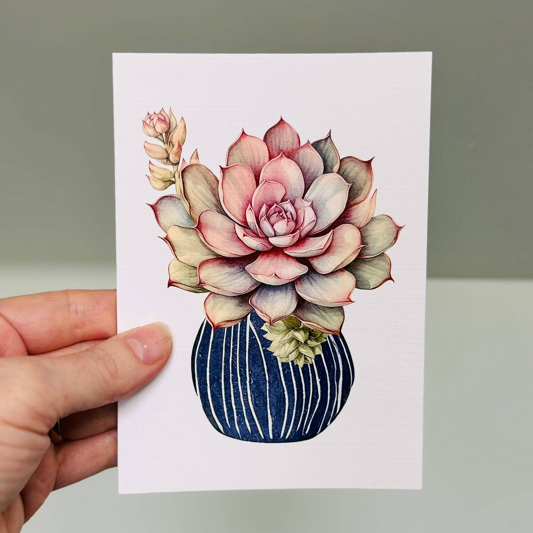 Scattered Seed Co - Wholesale Everyday greeting card - SUCCULENTS in Pots greeting cards set of 48