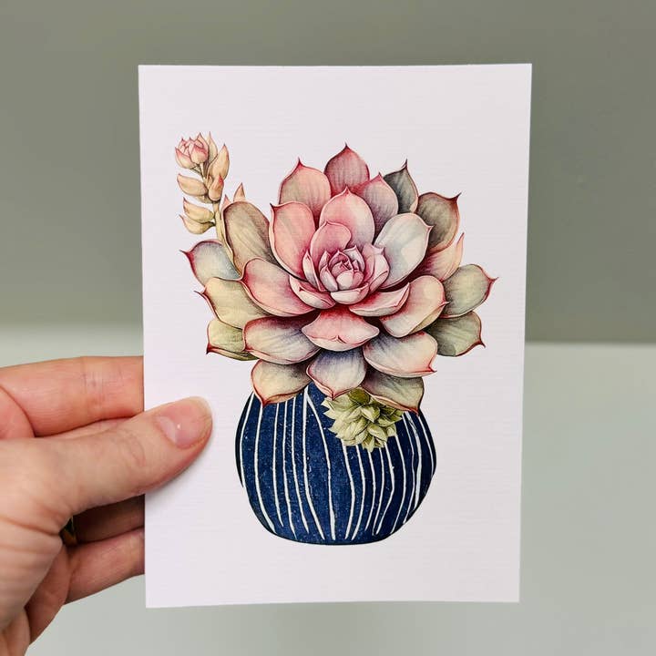 Scattered Seed Co - Wholesale Everyday greeting card - SUCCULENTS in Pots greeting cards set of 48