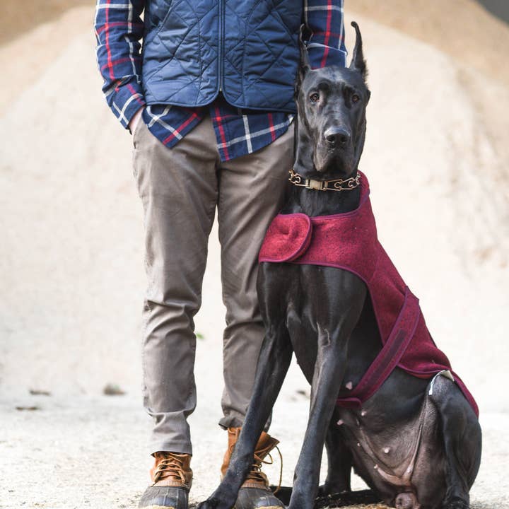 Kendall Wags – Engroshandel Overtræk - Hund – Fleece Hund Sweater Frakke16