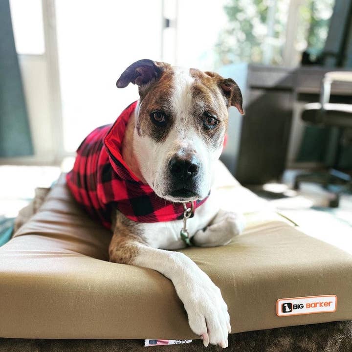 Barker Beds - Wholesale Pet Bed - Dog - 4" Orthopedic Crate Bed25