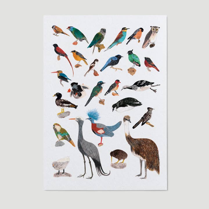Birds Art Print for wholesale by James Barker