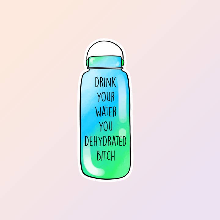 Sorry Not Sorry Co - Wholesale Sticker - Funny Stickers, Drink Your Water You Dehydrated Bitch, Adult