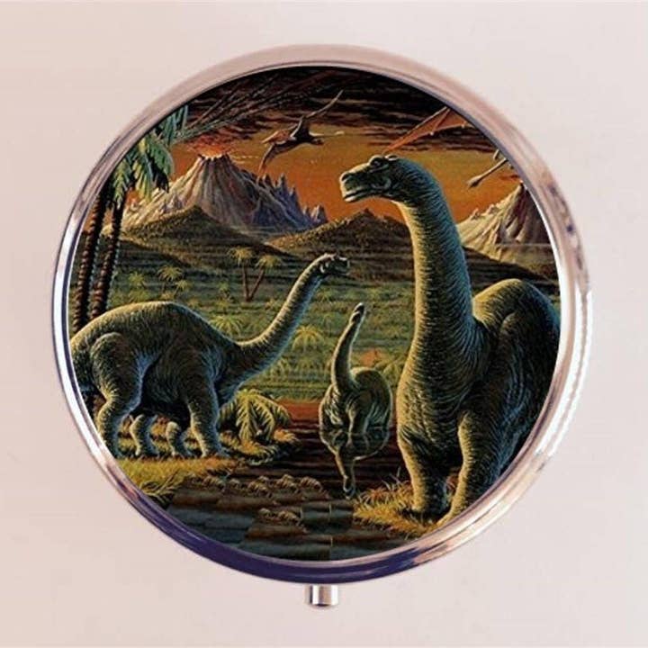 Dinosaur Pill Box Case Pillbox Holder Stash Trinket Box Dinosaurs Pop Art Illustration for wholesale by FringePop