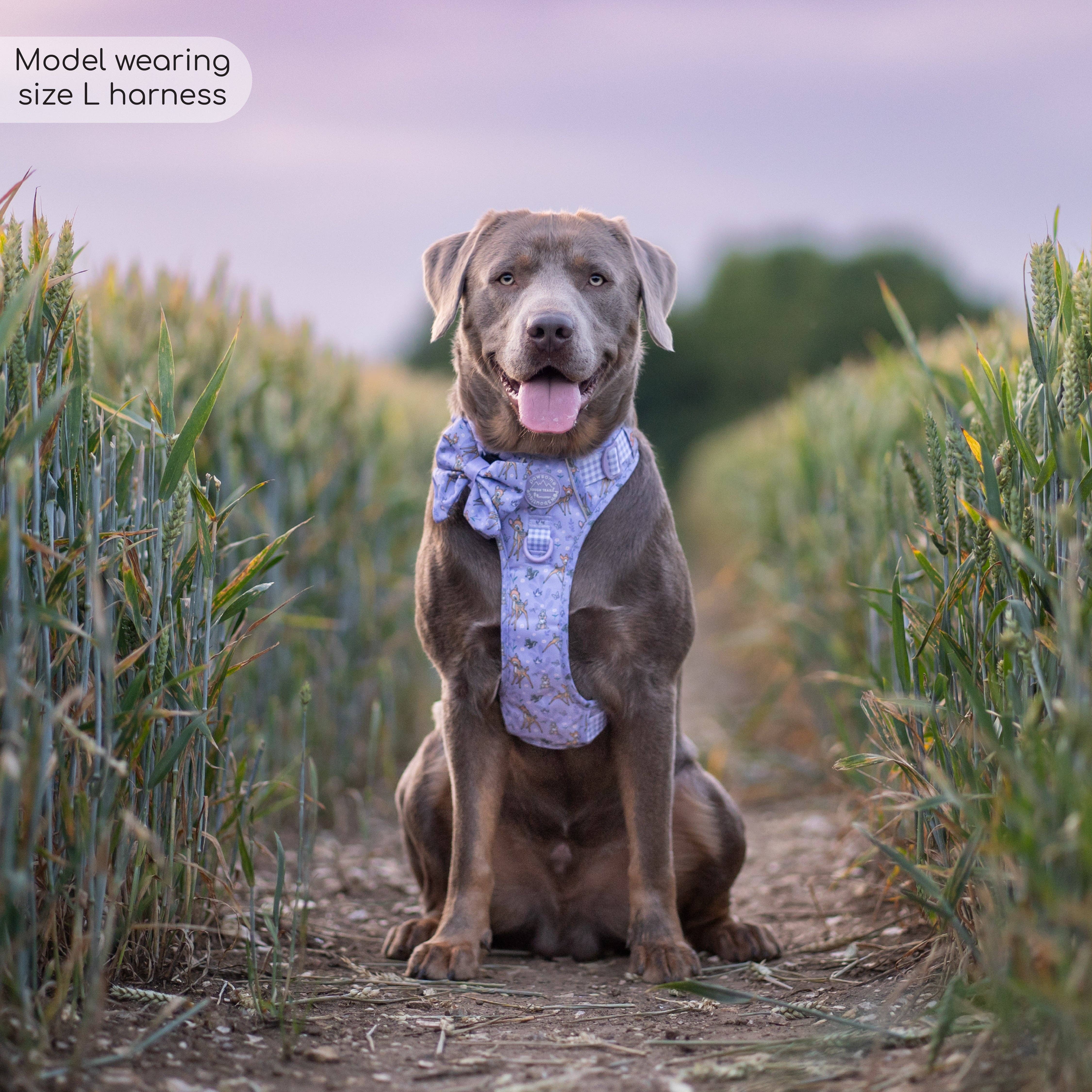 Pawsome Paws - Wholesale Pet Harness - Dog - Disney© Tough Trails™ Harness - Bambi + Friends Lilac2