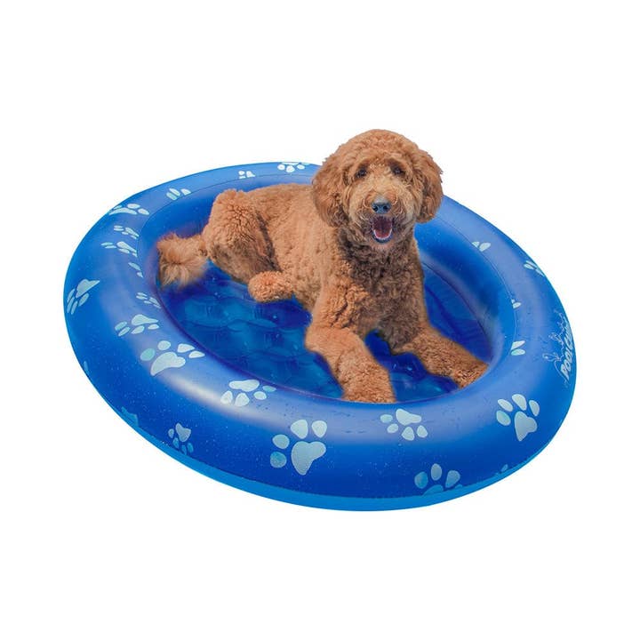 PoolCandy - Wholesale Inflatables - Inflatable Dog Pool Float Large Size