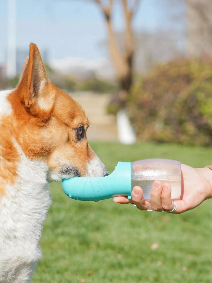 Portable Leak-Proof Pet Water Bottle with Drinking Bowl for wholesale by React Activewear