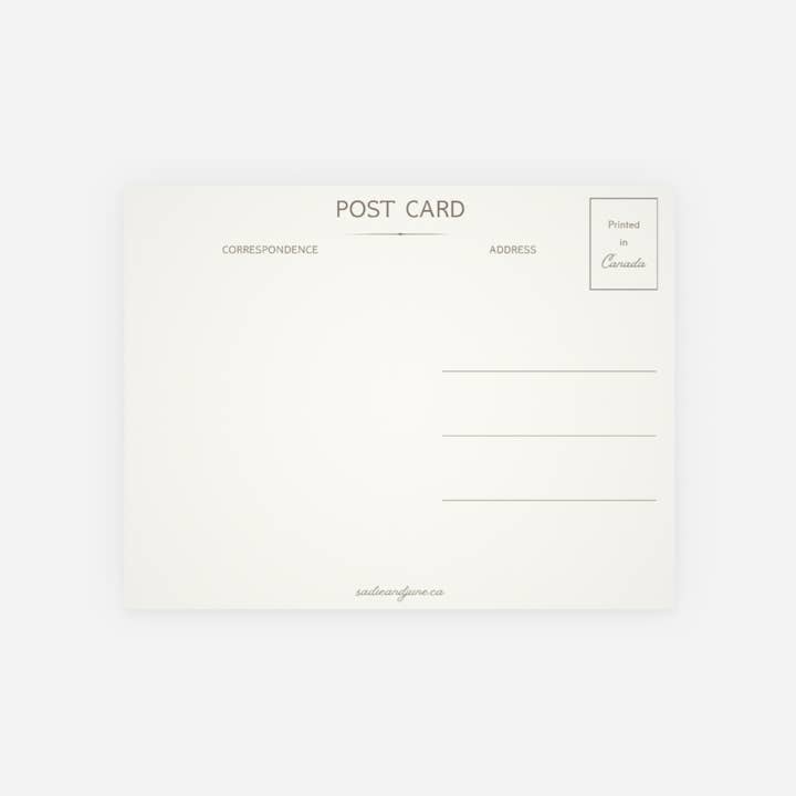 Sadie & June - Wholesale Postcard - Custom Map Postcard