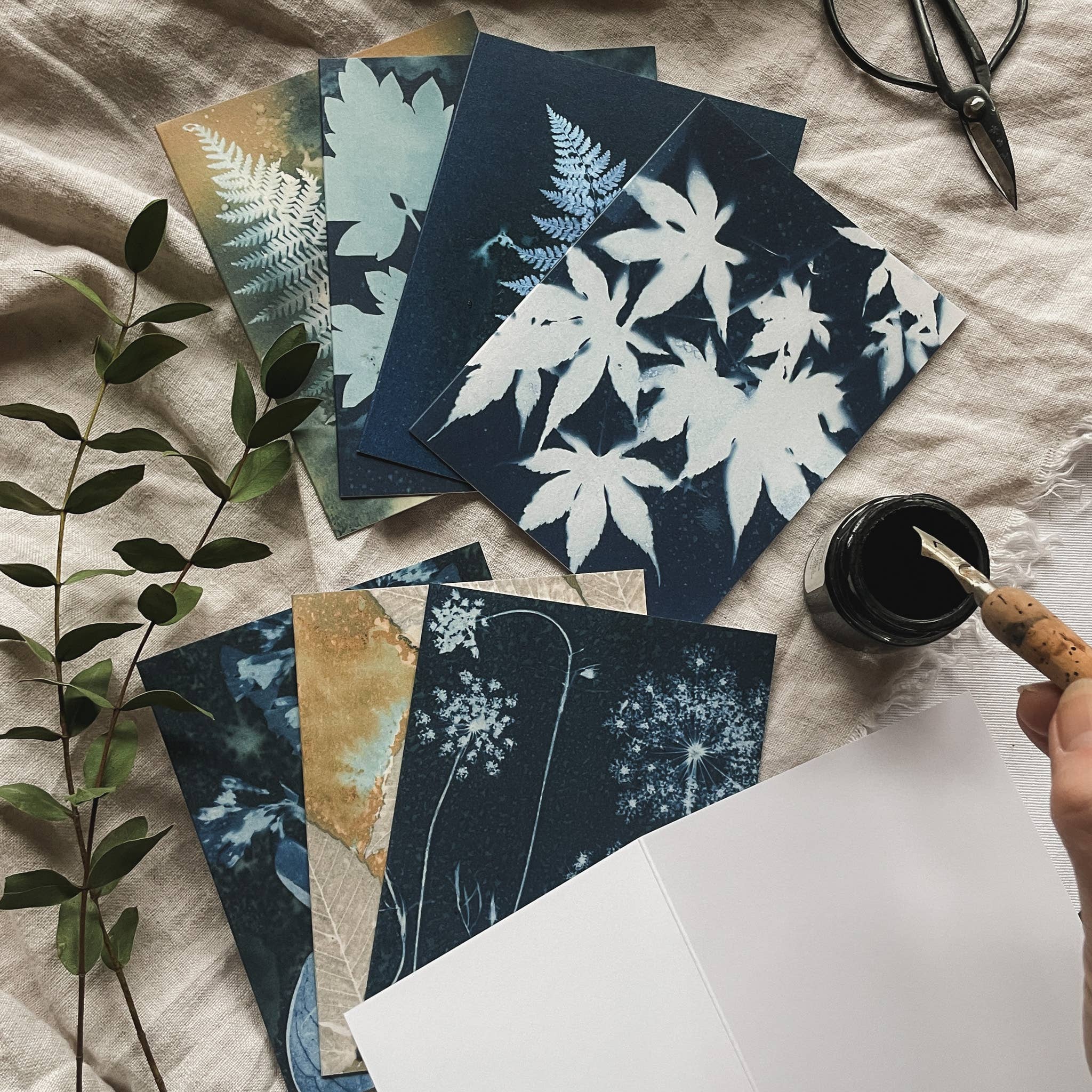 Atwater Designs - Vente Carte de vœux classique - Coffret de cartes de vœux Slow Mornings | Botanical Cyanotype1