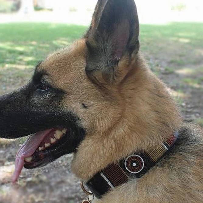 The Kenyan Collection Inc. dba TKC Inc - Wholesale Pet Collar - Dog - Topi Beaded Dog Collar