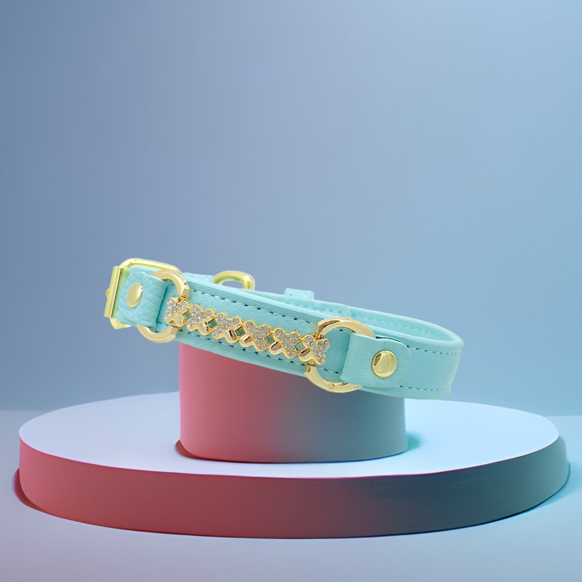 PupWiser - Wholesale Pet Collar - Dog - MAXIMA Handmade Leather Dog Collar (Orange and Turquoise)8