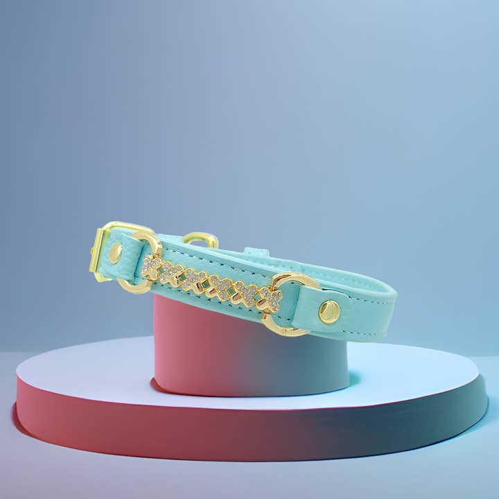 PupWiser - Wholesale Pet Collar - Dog - MAXIMA Handmade Leather Dog Collar (Orange and Turquoise)8