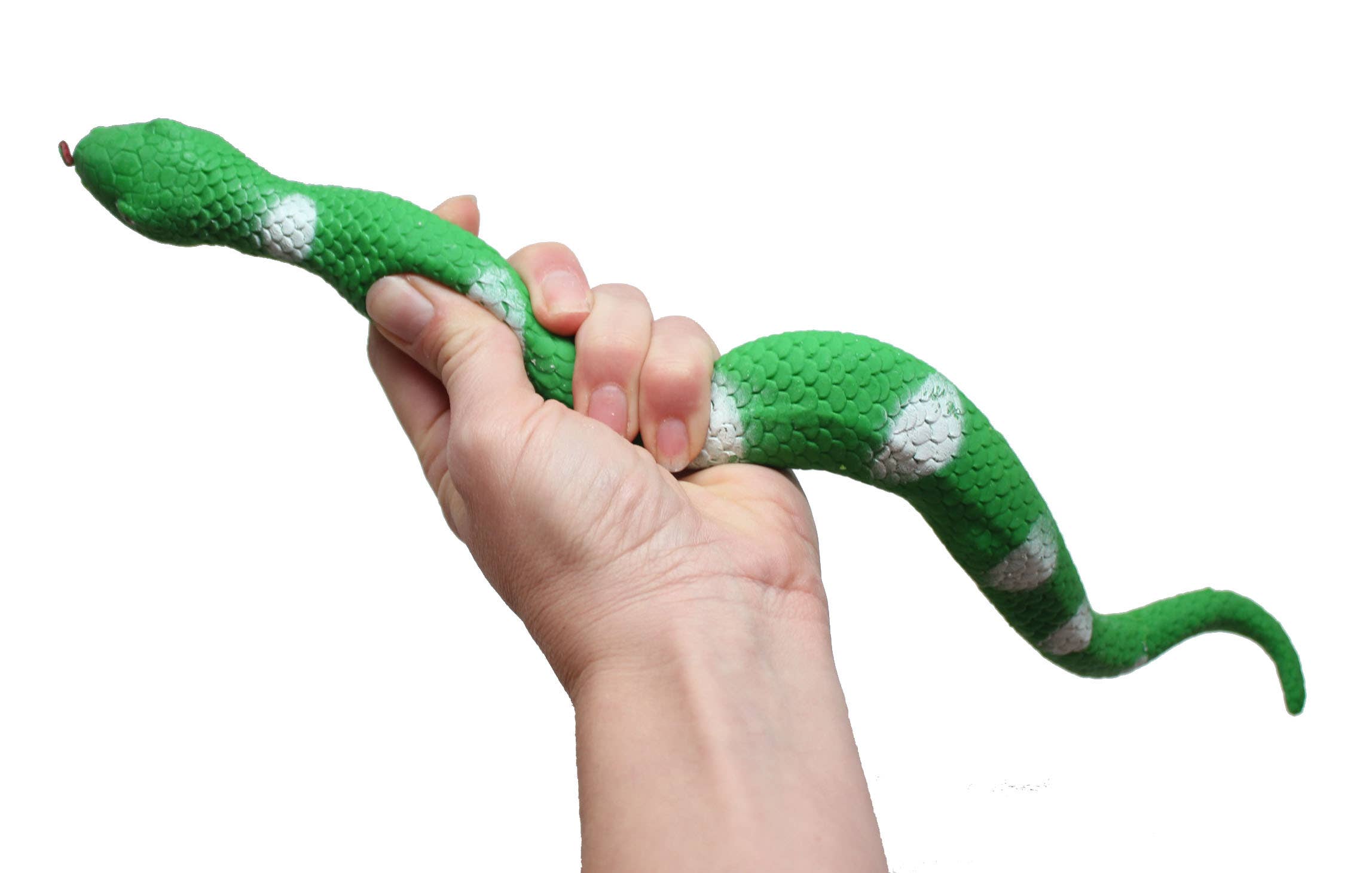 Curious Minds Toys - Wholesale Fidget Toy - Kids - 1- 15.5" Stretchy Snakes  Crushed Bead Filled- Reptile6