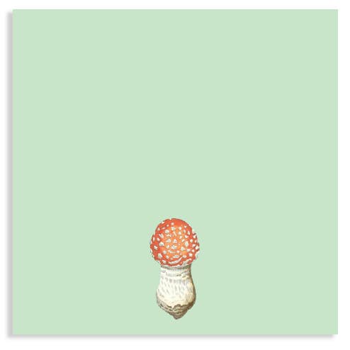 Fly Agaric Notepad 10x10cm for wholesale by 30x40