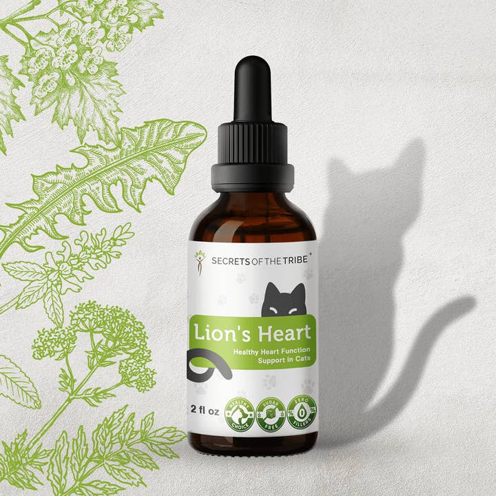 Løvens hjerte. Sund hjertefunktionsstøtte hos katte for engroshandel hos Secrets Of The Tribe