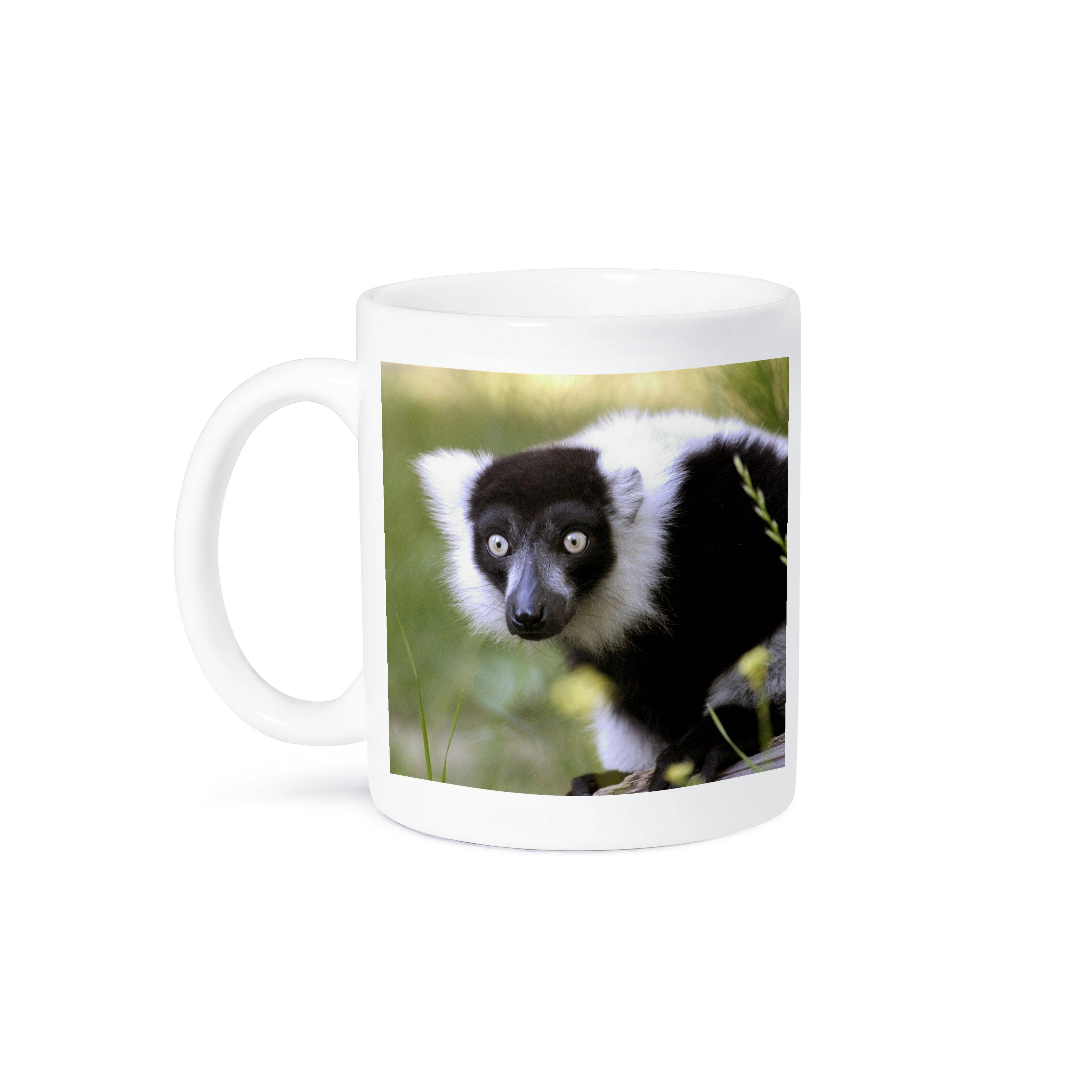 3dRose - Wholesale Koffiemok - 3dRose, Maki in de Sacramento Zoo, Californië - US05 TAU0066 - Tananarive Aubert, Mok.7