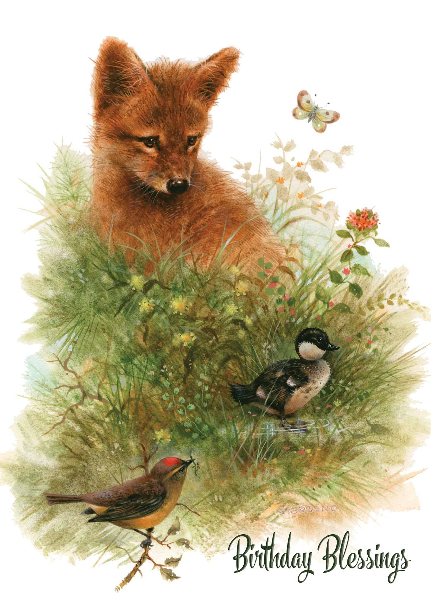 Crown Point Graphics - Wholesale Birthday Card - Celebrations -  48 Assorted Birthday Cards by Shared Blessings32