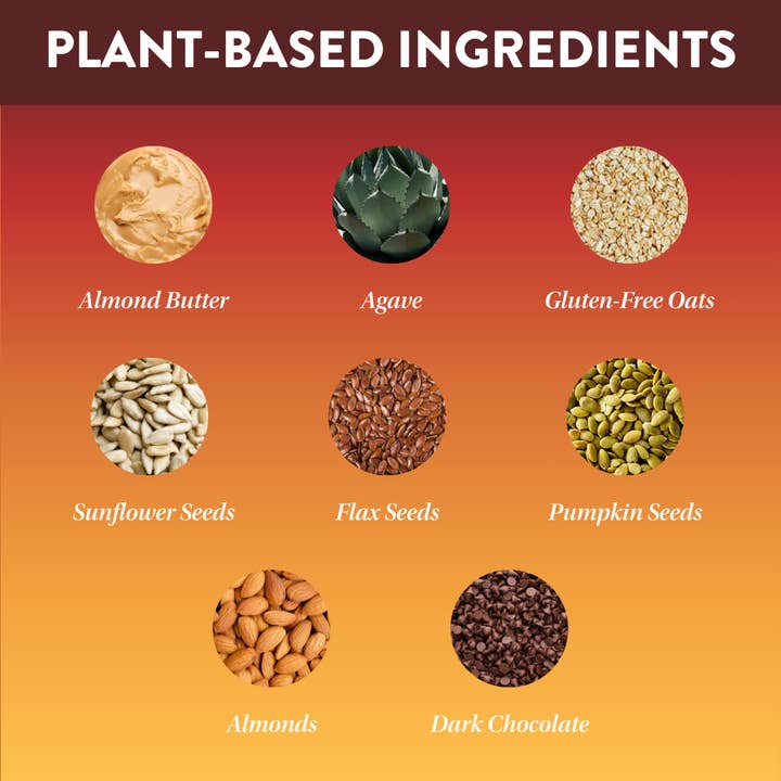 Protein Puck - Wholesale Snack Bar - Daily Bliss (Almond, Dark Chocolate) (16 - 3.25oz Bars)3