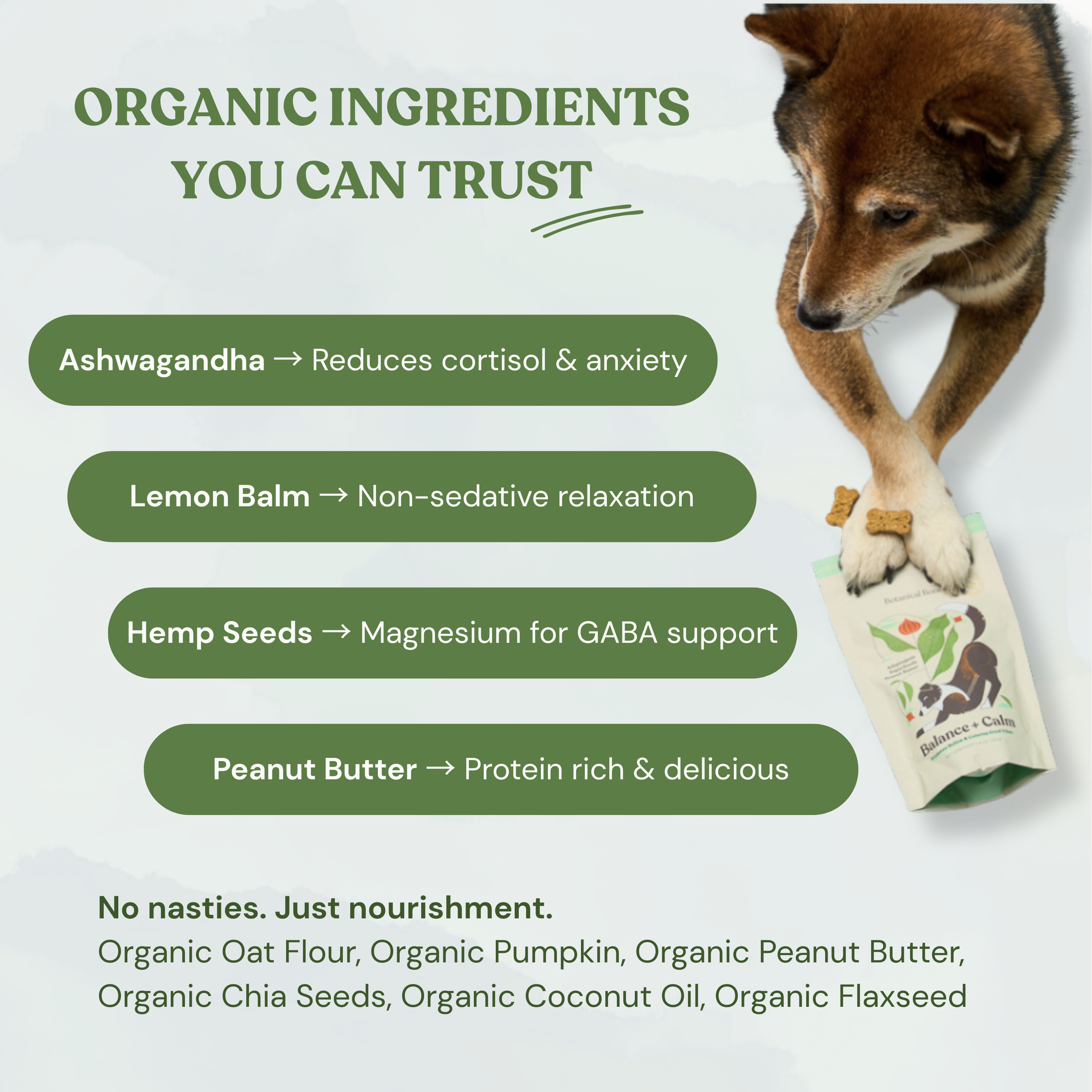 Botanical Bones - Wholesale Hondenkoekjes - Hond - Balance + Calm koekjes - Natuurlijk, biologische hondensnacks4