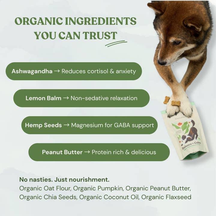 Botanical Bones - Wholesale Hondenkoekjes - Hond - Balance + Calm koekjes - Natuurlijk, biologische hondensnacks4