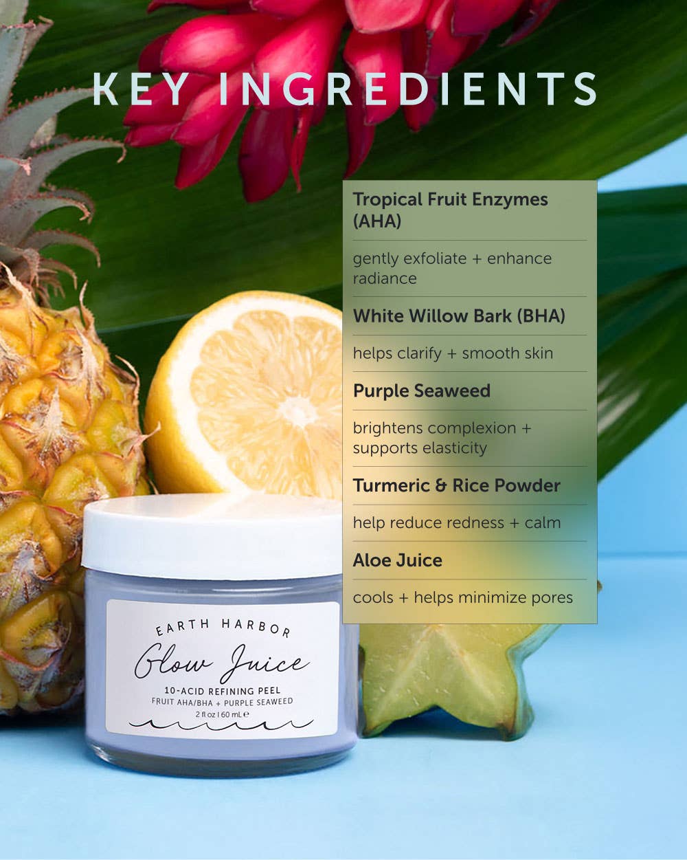 Earth Harbor Naturals - Wholesale Skincare Face Mask - GLOW JUICE 10-Acid Refining Peel: Fruit AHA/BHA 1