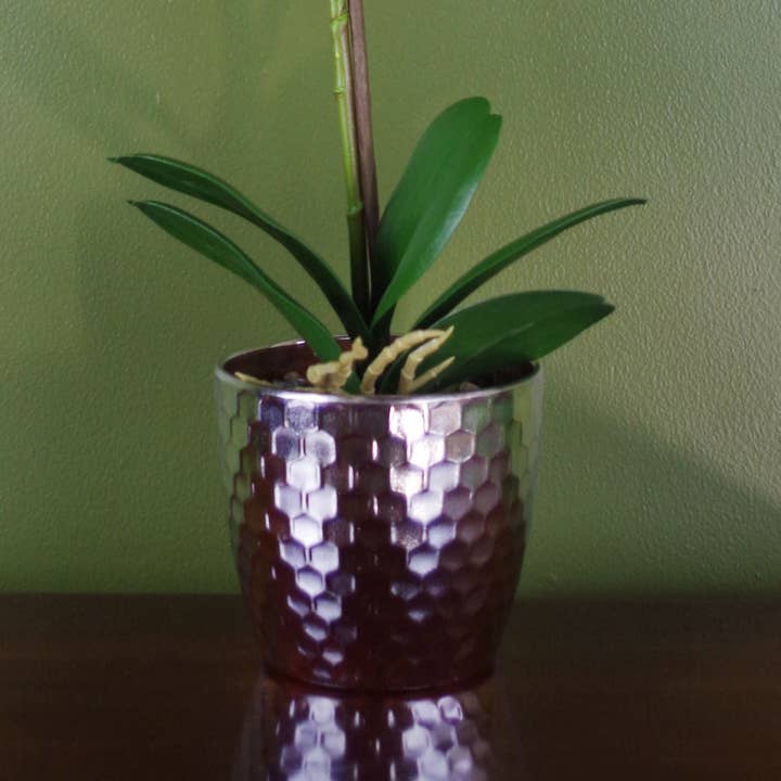Leaf Design UK LTD - Wholesale Artificial flowers - Pink Orchid Artificial Silver Pot 50cm Real Touch2