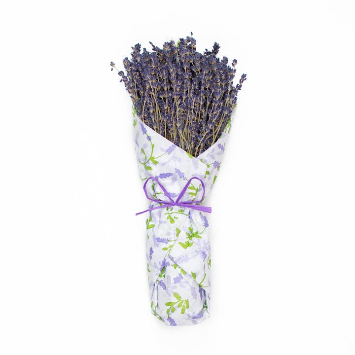 French Lavender Wrapped In Tissue - Lavender Fields for wholesale by Mills Floral Company