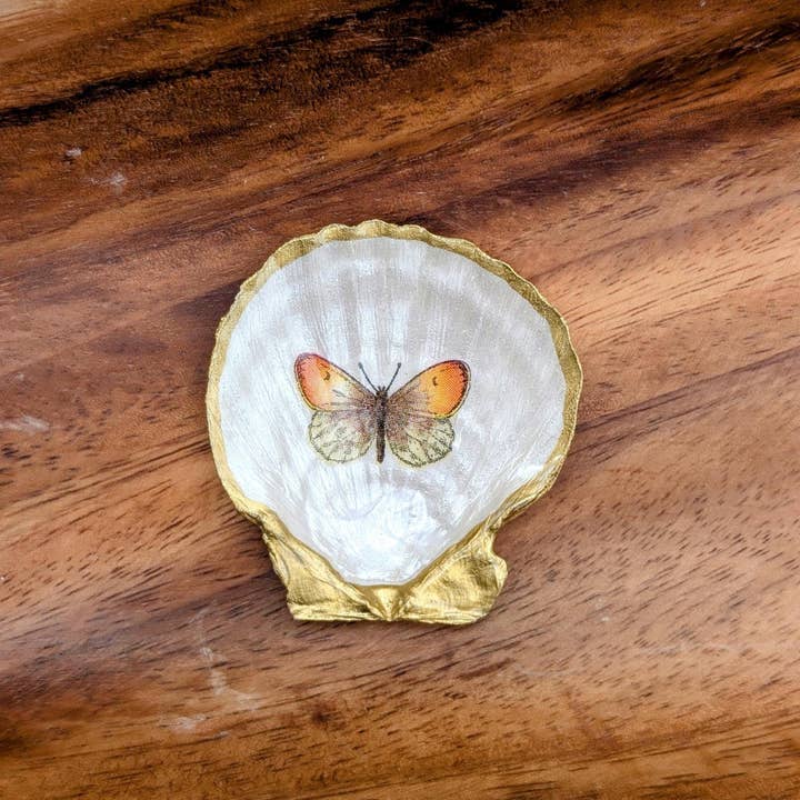 Sea Shell Trinket Dish | Butterflies - Green for wholesale by TillyPad Studios