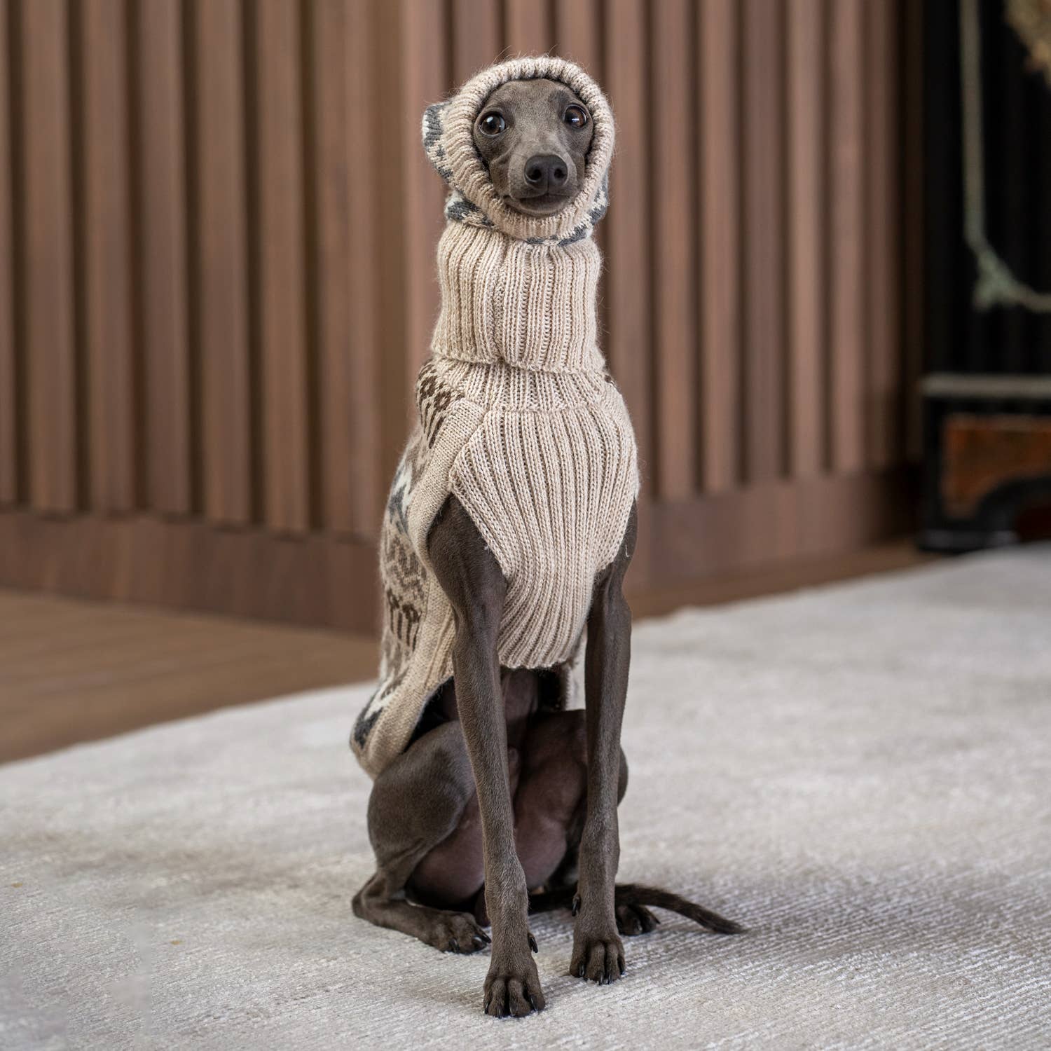 Alqo Wasi – chapéu - Cão por atacado – Gorro de inverno em lã de alpaca para cães5