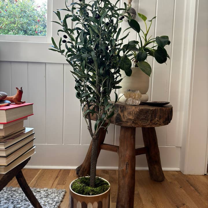 Sugarboo & Co - Wholesale Artificial Plant - Olive Tree Drop- In1