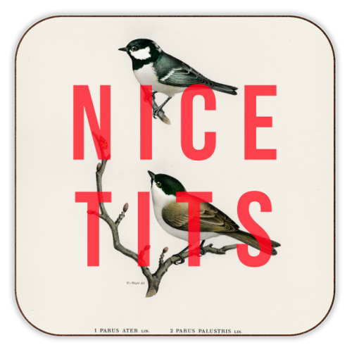 ART WOW - Wholesale Coasters - Coasters 'Nice Tits' by The 13 Prints0